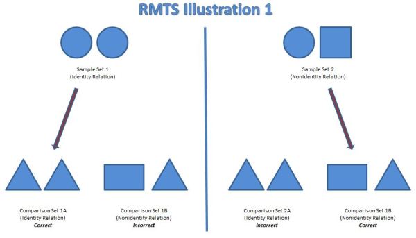 RMTS Illustration1